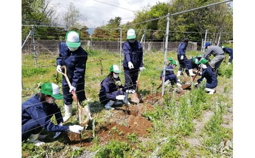 地域の魅力発信プロジェクト】山梨県立農林高校ワイン 17ans-ディセタン-３本セット [山梨 ワイン 高校生 限定] - 山梨県甲斐市｜ふるさとチョイス  - ふるさと納税サイト