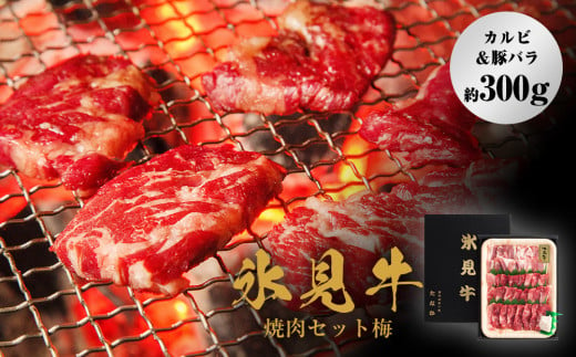 氷見牛焼肉セット梅(カルビ&豚バラ約300g)