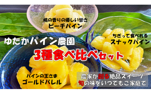 3種食べ比べセット ゆたかパイン農園のカットパイン 10セット限定 沖縄県東村 ふるさとチョイス ふるさと納税サイト