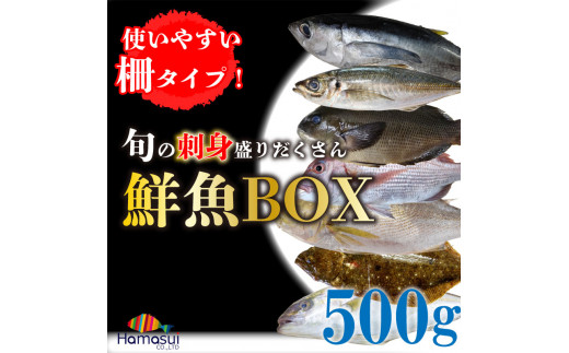 お楽しみ 鮮魚BOX 500g 天然 真鯛 活アジ イサギ キハダマグロ メジナ