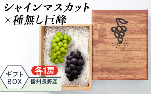 J0748【長野市産】シャインマスカット×種無し巨峰 各1房Hoshina farm