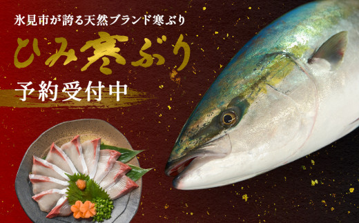 先行予約 天然寒鰤 ひみ寒ぶり 一本丸ごと便 配送エリア限定 富山県氷見市 ふるさとチョイス ふるさと納税サイト