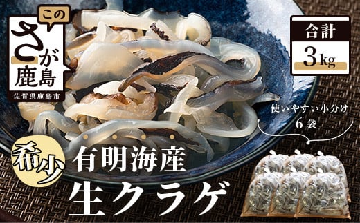 B 433 有明海産 希少 生クラゲ３ｋｇ ビゼンクラゲ 佐賀県鹿島市 ふるさとチョイス ふるさと納税サイト