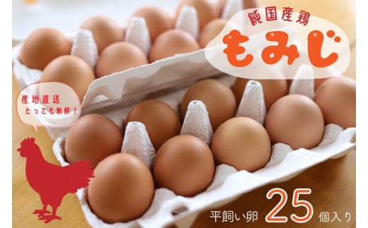 AJ005 【純国産鶏もみじ】平飼い卵25個入り