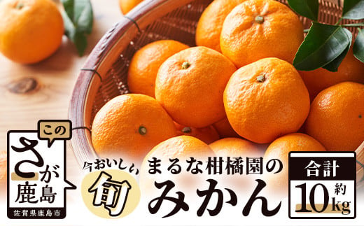 B-177 鹿島 まるな柑橘園のみかん 約10ｋｇ サイズ混合 【2023年9月
