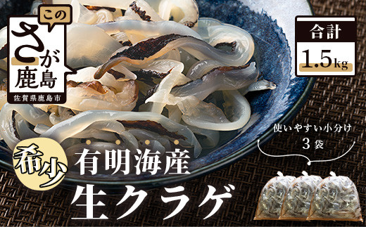 A 145 有明海産 希少 生クラゲ１ ５ｋｇ ビゼンクラゲ 佐賀県鹿島市 ふるさとチョイス ふるさと納税サイト