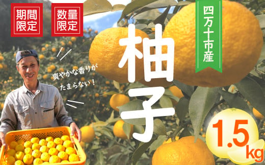 【※ご好評につき、令和5年度は終了いたしました】23-1008．【早期受付・数量限定】特有のさわやかな香りがたまらない！四万十市産柚子(贈答用)　約1.5kg(9～14個)【2023年12月中旬～2024年2月上旬発送】