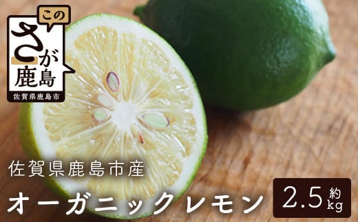 国産 オーガニックレモン 約2.5kg レモン 檸檬 B-91  435752 - 佐賀県鹿島市