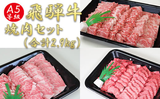 A5飛騨牛焼き肉セット（合計2.9kg） 489951 - 岐阜県垂井町