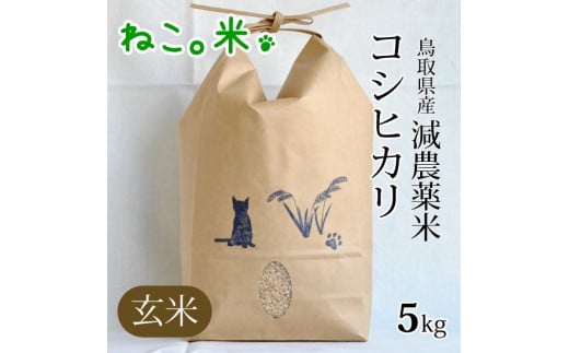 減農薬米　コシヒカリ　玄米（５ｋｇ）