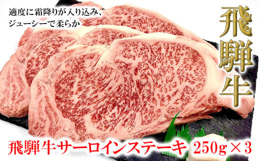 菊の井 飛騨牛サーロインステーキ  250g×3 牛肉 ブランド牛 国産【冷凍】