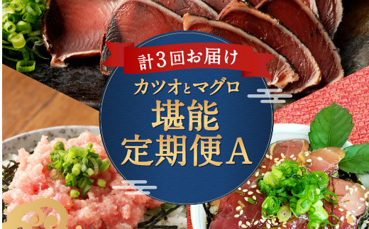 ３ヶ月連続 カツオとマグロ堪能定期便ａ 高知県室戸市 ふるさとチョイス ふるさと納税サイト