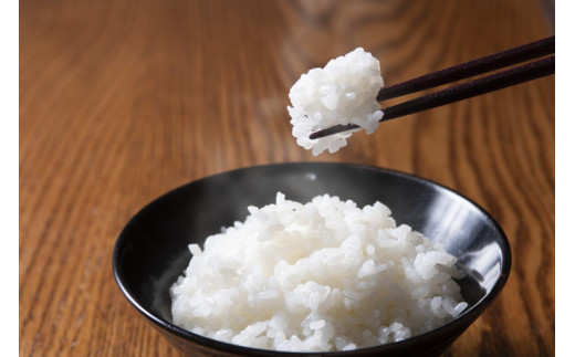 四国・森の国まつののお米「まっさら米」コシヒカリ精米5kg+玄米5kg