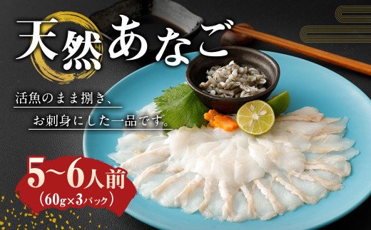 天然あなごの刺身 宗像産 1 2人前 60g 3パック 宗像漁協 Ka0453 福岡県宗像市 ふるさとチョイス ふるさと納税サイト