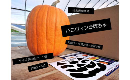 【ふるさと納税】≪令和6年10月お届け≫ハロウィンかぼちゃ 683197 - 北海道和寒町