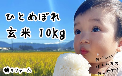 令和６年産 ＜定期便３ヶ月＞雫石町産「あきたこまち」玄米10kg【農事組合法人ユニティファーム七区】/ 米 あきたこまち定期便 秋田こまち 10キロ  - 岩手県雫石町｜ふるさとチョイス - ふるさと納税サイト