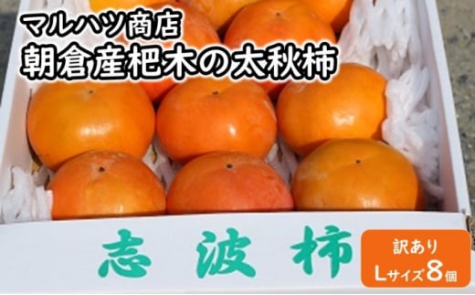 【訳あり】太秋柿 Lサイズ×8個入★マルハツ商店【配送不可：離島】