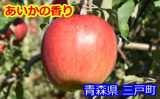 りんご【あいかの香り】12～18玉（約5kg）【2023年産・先行予約】