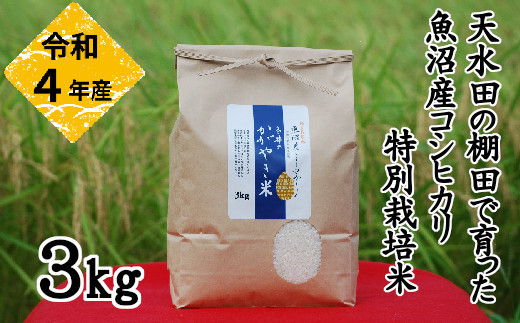 r05-10-050 特別栽培米 魚沼産こしひかり3kg「冬井のかがやき米」 白米 魚沼 米