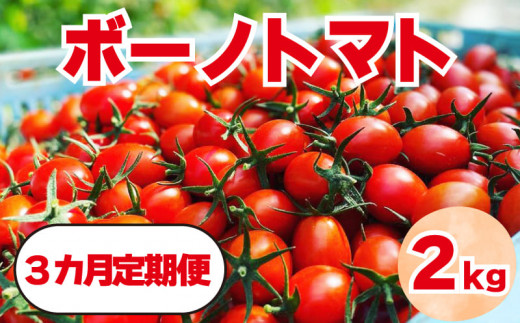 3カ月定期便 ボーノトマト 2kg ミニトマト アイコ トマト 徳島県阿波市 ふるさとチョイス ふるさと納税サイト