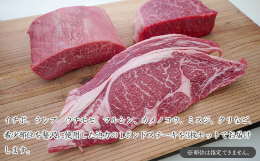 淡路牛希少部位ステーキ 3ポンド食べ比べ 約450ｇ×3枚 - 兵庫県淡路市