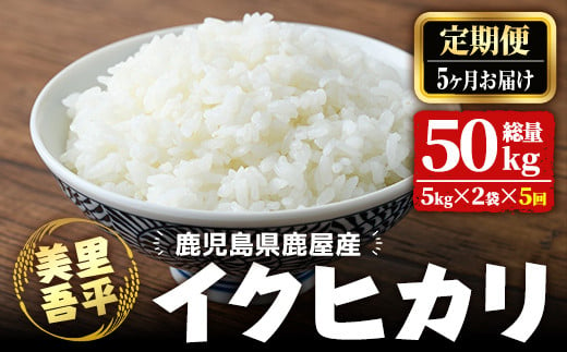 1282-1 【定期便】令和6年産「美里吾平（うましさとあいら）イクヒカリ」10kg（5kg×2袋）×５ヶ月 1021922 - 鹿児島県鹿屋市