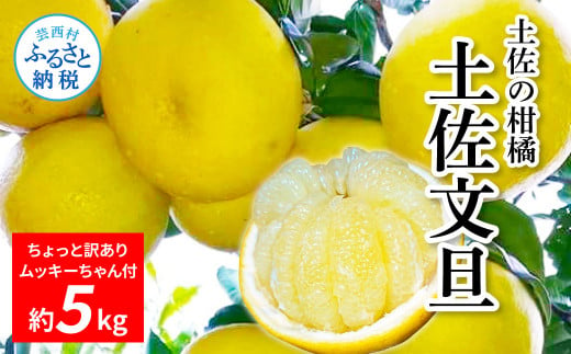 先行予約[2025年2月〜3月発送予定]土佐の柑橘 訳あり 土佐文旦5kg詰め合わせ ムッキーちゃん(皮むき機)付き