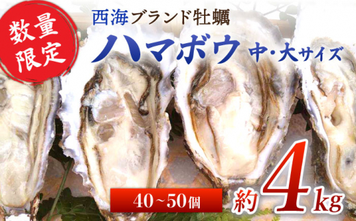 【着日指定可】西海 ブランド 牡蠣 「 ハマボウ 」 約4kg（40～50個）（中～大サイズ）＜ハマフジ水産＞ [CES006] 491716 - 長崎県西海市