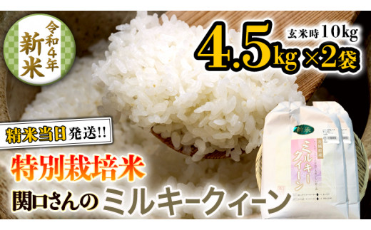 茨城30年産新米ミルキークイーン玄米20㎏ - 米/穀物