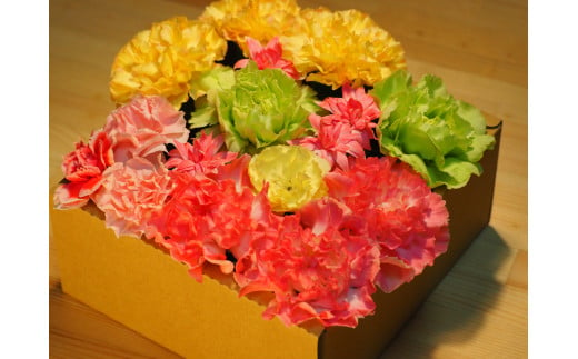 カーネーション フラワーボックス （花瓶・水やり不要） 1006 ／ 3Cフラワープロジェクト 静岡県 東伊豆町 母の日 ギフト 誕生日 プレゼント 女性 祝い お見舞い 贈り物