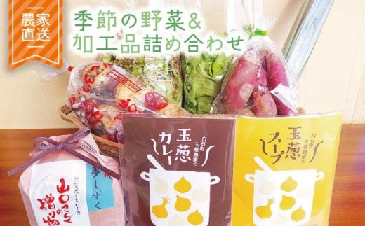 米1kgと季節の野菜、こだわりの玉ねぎカレー＆スープの詰め合わせ