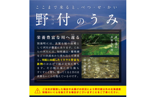 12月26日受付まで年内配送】本場「北海道」のいくら醤油漬け 500g