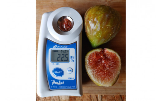 未開封】ドライいちじく100g Dried Fig propar.com.ar