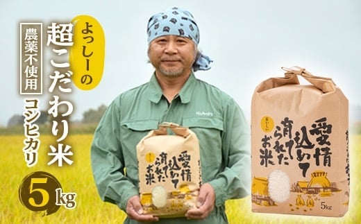 定期発送】米食味鑑定士厳選 新庄産「はえぬき」（精米）各10kg【全12