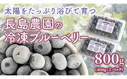冷凍 ブルーベリー 800g 冷凍ブルーベリー 国産 茨城県産 ベリー 冷凍果実 フルーツ 果物 くだもの 自家製栽培 [AK005sa]
