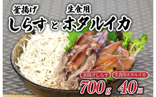 釜揚げしらすと生食用ホタルイカの海鮮セット 大阪府泉佐野市 ふるさとチョイス ふるさと納税サイト