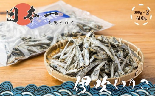 伊吹いりこ　大羽　300g×2袋