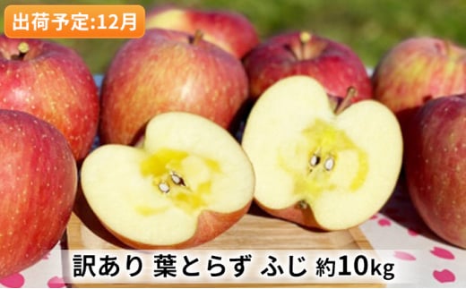 りんご 【 12月発送 】 訳あり 当園の味自慢！ 葉とらずふじ 約 10kg 【 弘前市産 青森りんご  果物 フルーツ デザート 酸味 ジューシー シャキシャキ  】 685817 - 青森県弘前市