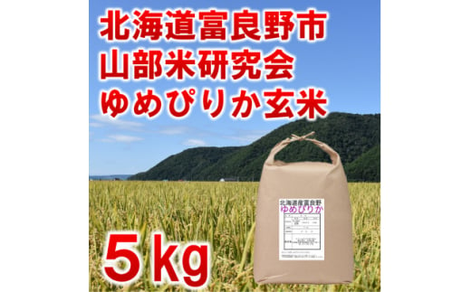 お茶の根本園 さしま茶6種飲み比べセット（茨城県共通返礼品・坂東市産