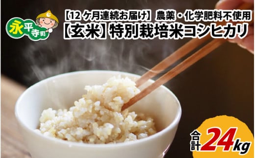 在庫大得価 農薬化学肥料不使用栽培米ササニシキ 玄米24kg BQv8N