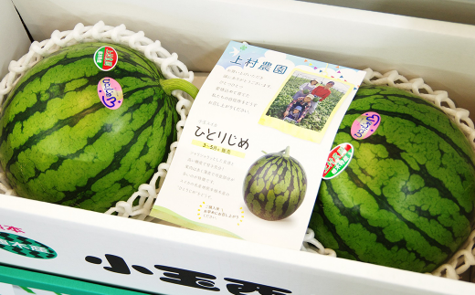 【2024年3月下旬発送開始】【すいかの里植木】春の小玉すいか 2玉入 すいか 熊本産 果物 道の駅 801177 - 熊本県熊本市