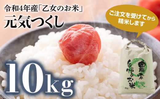 令和4年産「乙女のお米」元気つくし　１０kg