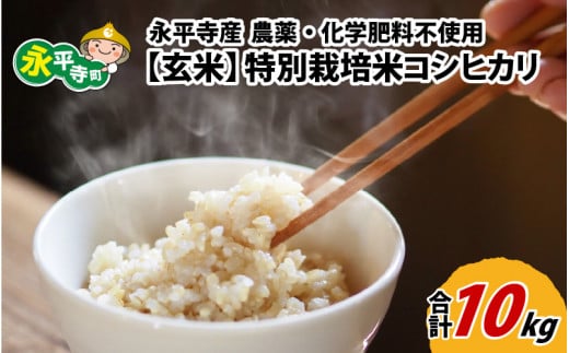 令和5年度産 永平寺町産 農薬不使用・化学肥料不使用 特別栽培米