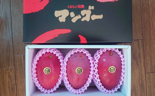 熊本県産 完熟マンゴー (化粧箱入) 約900g〜1kg前後 2~3玉入