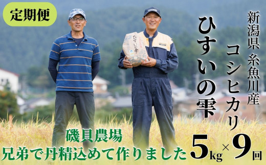 定期便】新潟県産コシヒカリ『ひすいの雫』５kg×９ヶ月 早川の清流が