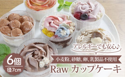 小麦粉 砂糖 卵 乳製品不使用 Raw カップケーキ 6個 Holoholo Raz004 長崎県新上五島町 ふるさとチョイス ふるさと納税サイト