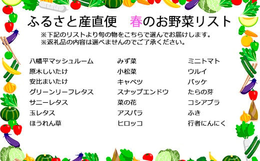 八幡平のふるさと産直箱（大） 6ヶ月定期便 ／ 産地直送 新鮮 野菜