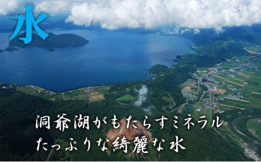 [№5724-0606]【令和5年産米】北海道壮瞥産　ななつぼし 5kg