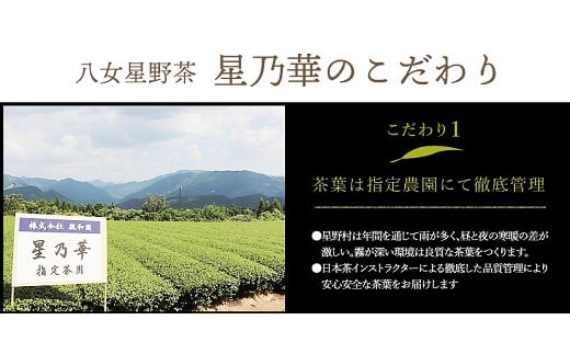 AA140.【訳あり品】八女星野茶.深蒸し茶1100g（100g×11袋）