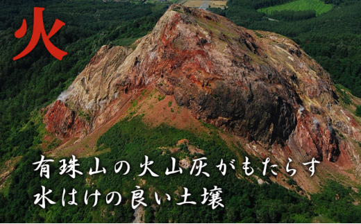 [№5724-0606]【令和5年産米】北海道壮瞥産　ななつぼし 5kg